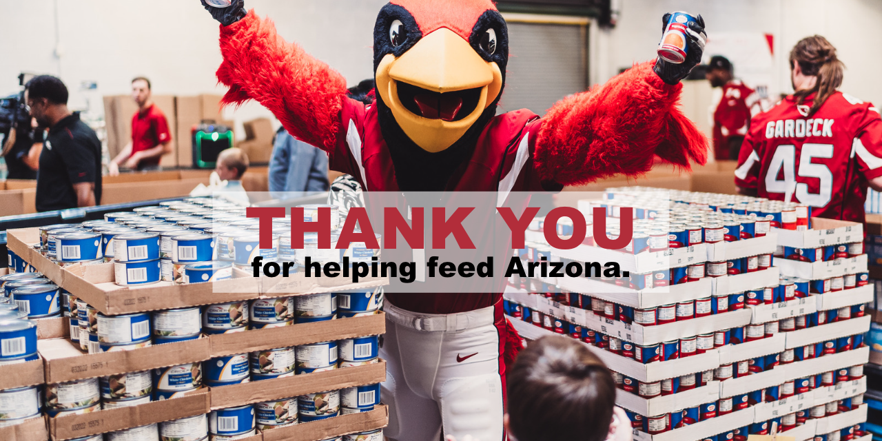 arizona cardinals  big red  Team mascots, Mascot, Arizona cardinals